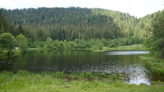 Nationalpark SchwarzwaldVon Baiersbronn zum Sankenbachsee [upl. by Ailla755]