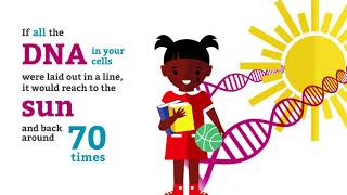 Genomic Fun Facts DNA Distance [upl. by Scully]