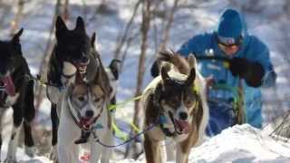 Finnmarksløpet 2015  Memories [upl. by Pepin700]