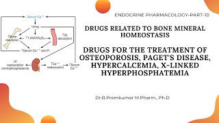 Drugs acting on Bone Mineral HomeostasisDrugs for OsteoporosisEndoPart10 [upl. by Sayres]