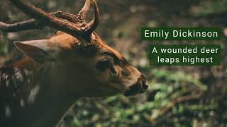 Emily Dickinson quotA wounded deer leaps highestquot Poem Audiobook [upl. by Ephrem901]