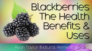 Blackberries Benefits and Uses [upl. by Leumel]