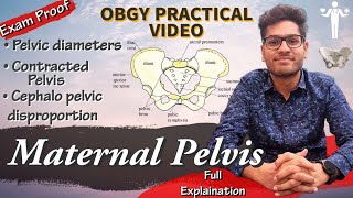 Maternal Pelvis  Pelvic diameters and its significance  Clinical Obstetrics Video Pratik Kashyap [upl. by Garris]