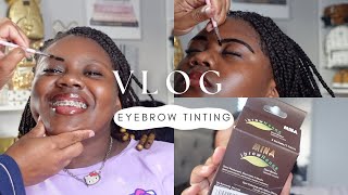 Eyebrow Tinting  Self Care [upl. by Nomla190]