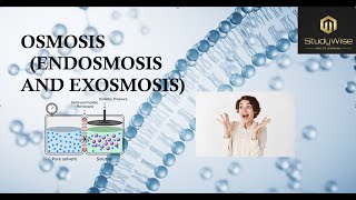 osmosis endosmosis exosmosis lecture3learn with funeasy to understandbiology plantphysiology [upl. by Aelc]