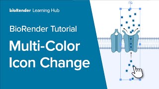 BioRender Tutorial Multiicon Color Change [upl. by Ahselrac]