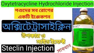 oxytetracycline injection পশুর কি রোগে প্রয়োগ করবেন।Steclin Injection in bengoli। Veterinary bangla [upl. by Eirrod]