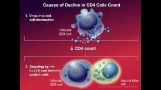 CDC Tuberculosis TB Transmission and Pathogenesis Video [upl. by Ecam]