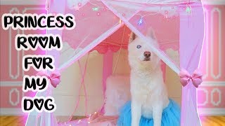 MAKING MY DOG A PRINCESS ROOM [upl. by Picco579]