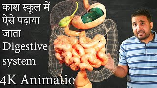 कैसे पचता है भोजन पेट में How digestive system works Class 10 NEET JEE BOARD [upl. by Ahtnammas]