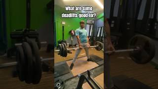 🦁 EDIT What are sumo deadlifts good for gym gymmotivation deadlift sumodeadlift shorts gym [upl. by Celestyna]