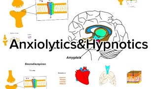 Pharmacology 21 Anxiolytics amp Hypnotics dawooyinka walwalkacabsidaargagaxahurdo laaanta [upl. by Sorvats]