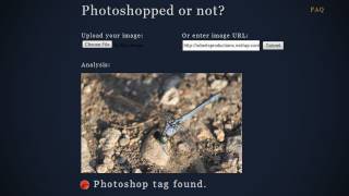 How to Tell When Photos Have Been Photoshopped [upl. by Otrebide]