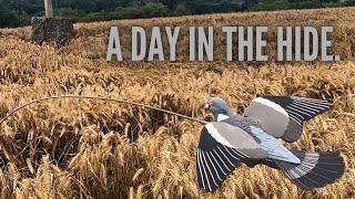 Pigeon Shooting  GoPro Footage  ShotKam  Flighting Wood Pigeons [upl. by Aikkin]