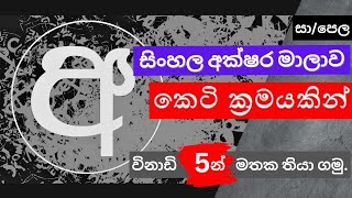 1011 සිංහල අක්ෂර මාලාව කෙටි ක්‍රමයකින් විනාඩි 5න් මතක තියා ගමුOL Sinhala Tips [upl. by Nodlehs]