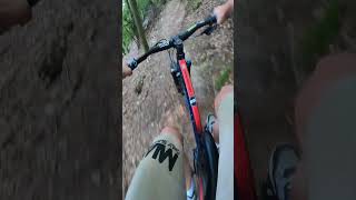 HENNWEILER BIKE PARK mtb mtbtricks bikeshorts downhilllife mtbshorts mountainbiken [upl. by Raffaj]