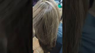 color highlights for morena girl haircolor trending hairstyle shorts [upl. by Bonnette206]