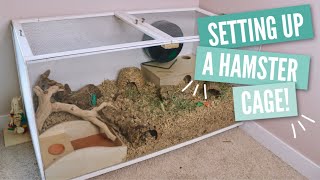 How to Setup a Hamster Cage [upl. by Rebmaed]