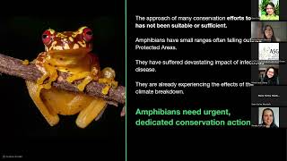 ASG webinar 2 The State of the World’s Amphibians [upl. by Eadahs]