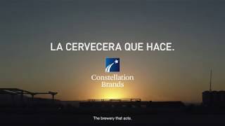 La cervecera que hace Constellation Brands [upl. by Charita]