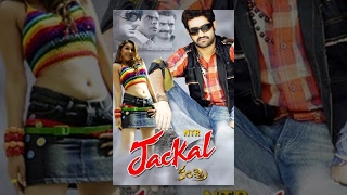 Jackal Kantri English Full Movie  Jr NTR Hansika  Meher Ramesh [upl. by Griffie874]