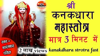 kanakadhara stotram fast  कनकधारा स्तोत्रम्  Mantra Sarovar  Wealth attainment mantra stotra [upl. by Cran67]