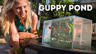 DIY Guppy Pond Setup with Aquarium Highrise [upl. by Macario]