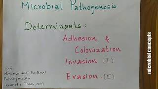 Pathogenic determinants Adhesion Colonization amp Invasion 1  Mechanisms of bacterial pathogenicity [upl. by Stila125]