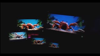 Crab Rave On 5 Devices At Once For Fun [upl. by Gem]