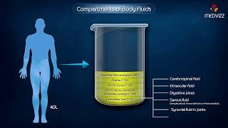 Compartments of Body Fluids  Medical physiology Animations [upl. by Snowber172]