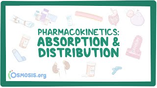 Fundamentals of Pharmacokinetics [upl. by Tarryn]