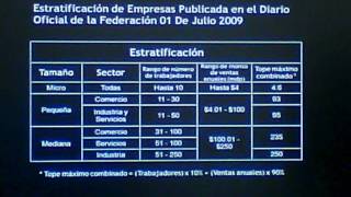 3 de 18 Clasificación de empresas y sectores de las MIPYMEs [upl. by Eimoan]