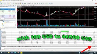 Automated trading robot with 100 USD to 86000 USD  Profitable Trading [upl. by Edme]