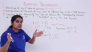 Intro to Matrices [upl. by Yci]