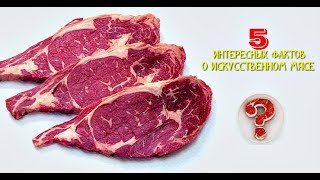 5 ИНТЕРЕСНЫХ ФАКТОВ О ИСКУССТВЕННОМ МЯСЕ [upl. by Hakon]