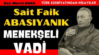 Sait Faik Abasıyanık quotMenekşeli Vadiquot Türk Edebiyatıbdan Sesli Kitaplar [upl. by Allicerp]