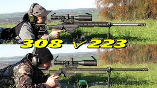 308 win v 223 rem at 1155yards [upl. by Arvonio900]