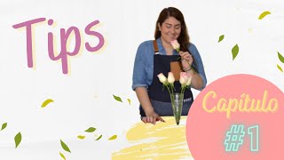 Floristería Básica  💡 Tips para Floristas  1 💡 [upl. by Kreiner810]