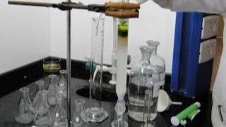 Isolation of Plant Pigments by Column Chromatography  Amrita University [upl. by Squire]