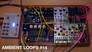 Ambient loops 14 ∞ Eurorack Disting EX Resonate Morphagene Beads Fx Aid  Microcosm [upl. by Oppen]