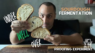 Proofing Time l Fermentation Sourdough [upl. by Drabeck]