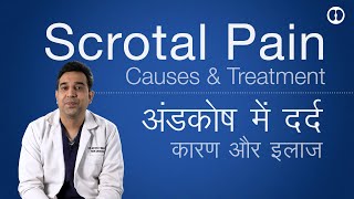 Scrotal or Testis Pain causes and Treatment Andkosh ya Goli me dard ke karan aur samadhaan [upl. by Nagol]