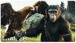 BEST UPCOMING MOVIES 2024 New Trailers [upl. by Ifen]