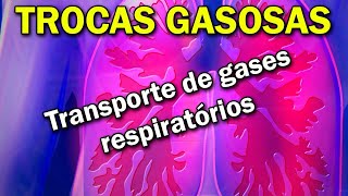 Mecanismos de trocas gasosas do Pulmão  DIFUSÃO de gases respiratórios [upl. by Julide]