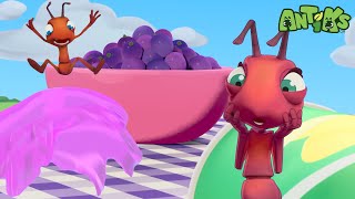 Ants at a Picnic🧺 Funny Cartoons For All The Family  Funny Videos for kids  ANTIKS [upl. by Fineman]