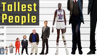 The Worlds Tallest People  The Lowest and Highest People in History  World INFO [upl. by Haidej]