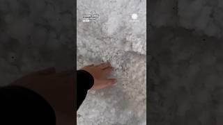 Thats some HAIL Calgary Alberta [upl. by Nathalia]