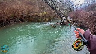 My First 20 Inch Trout of the YEAR Streamer Fly Fishing for Brown Trout [upl. by Lardner]