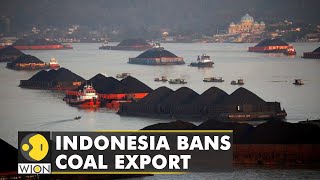 Indonesia banned coal export to meet its own power demands WION Climate TrackerLatest english News [upl. by Enaitsirk]