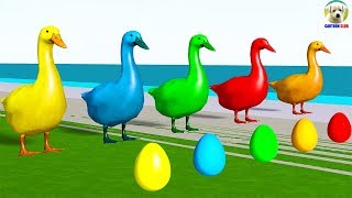 Learn Colors with Duck lay Eggs Colors Cartoon for Kids [upl. by Ynttirb]